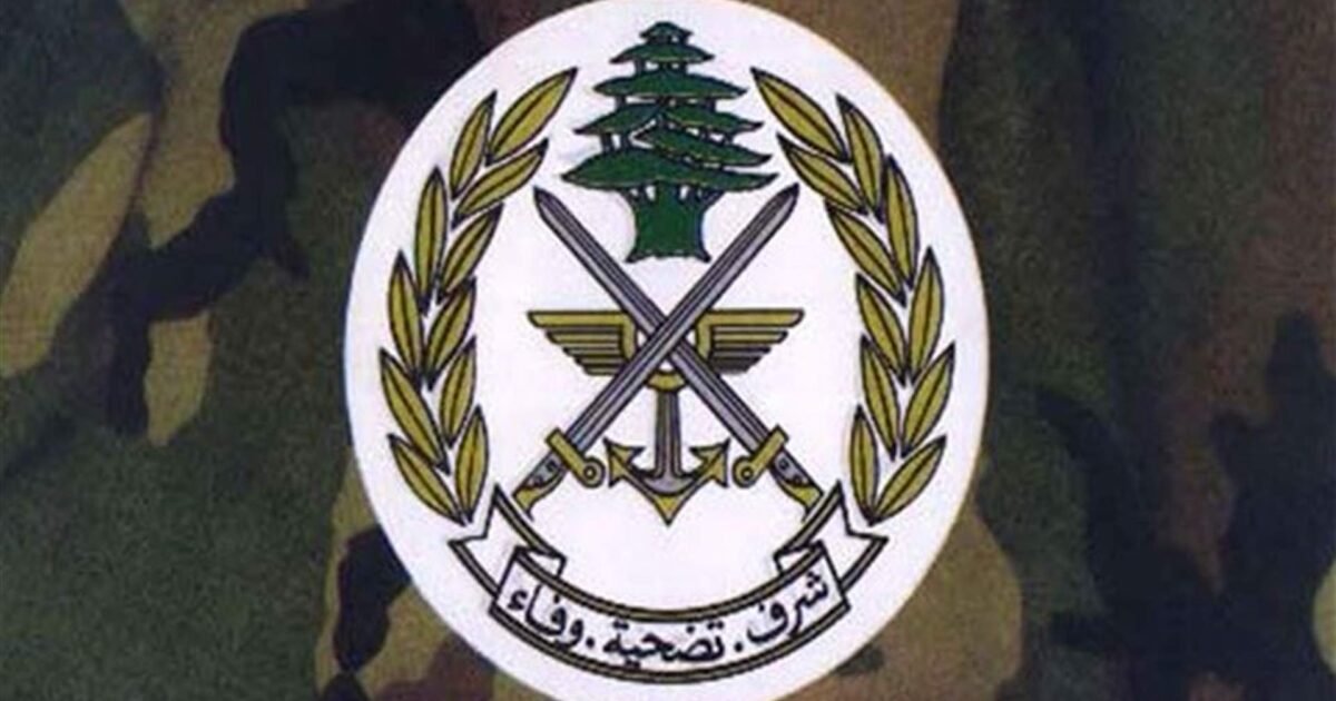 الجيش اللبناني: وجودنا في النبطية قائم وتكثيف المهمات لطمأنة الأهالي