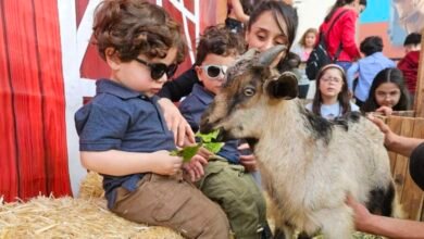مفاجأة مميزة لأطفالكم! استمتعوا بتجربة فريدة مع “MM Horses and Animals” في مناسباتكم