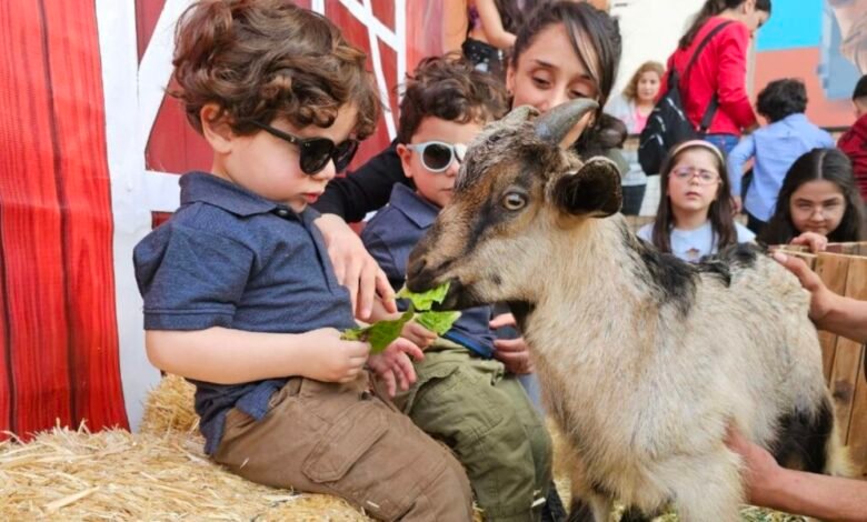 مفاجأة مميزة لأطفالكم! استمتعوا بتجربة فريدة مع “MM Horses and Animals” في مناسباتكم